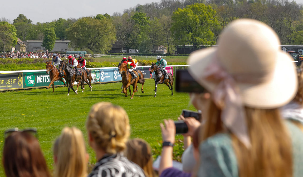 clara-zetkin park photo 5