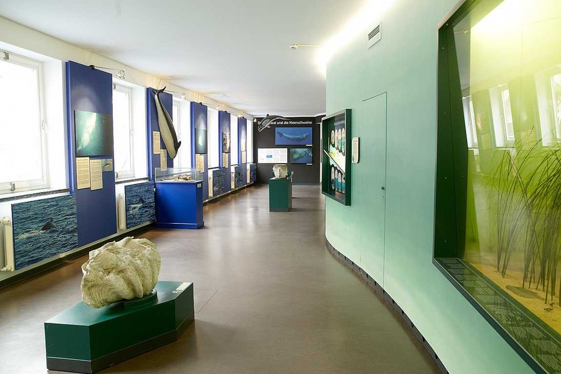 museum of nature and environment photo 2