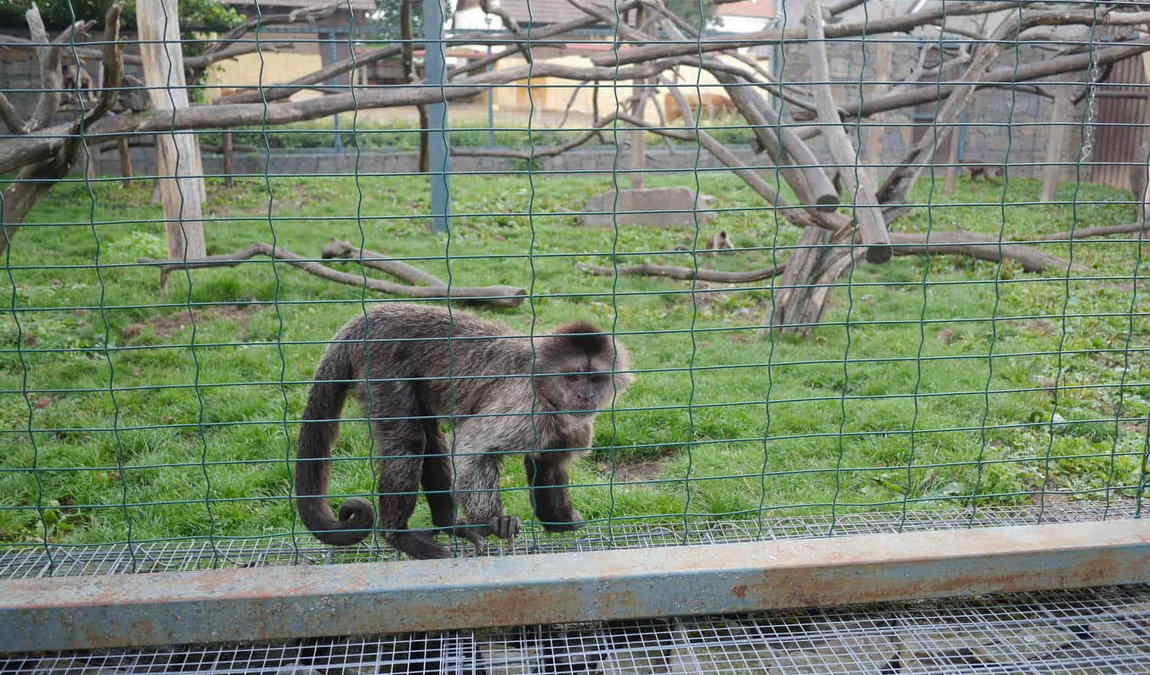 zoo vyskov photo 5