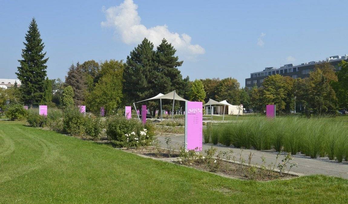 botanical garden - rosarium photo 2