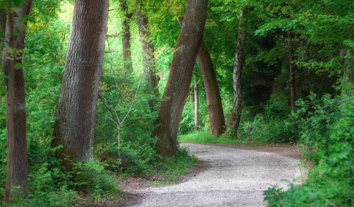 wildpark hollohe photo 3