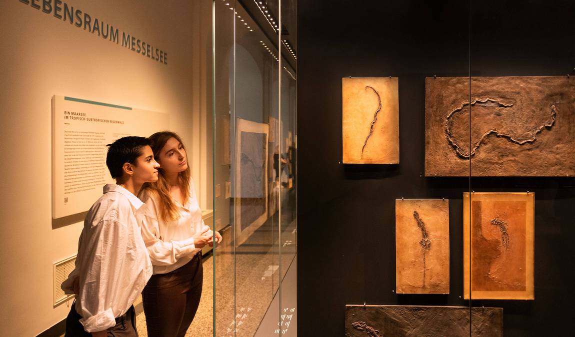 hessian state museum photo 6