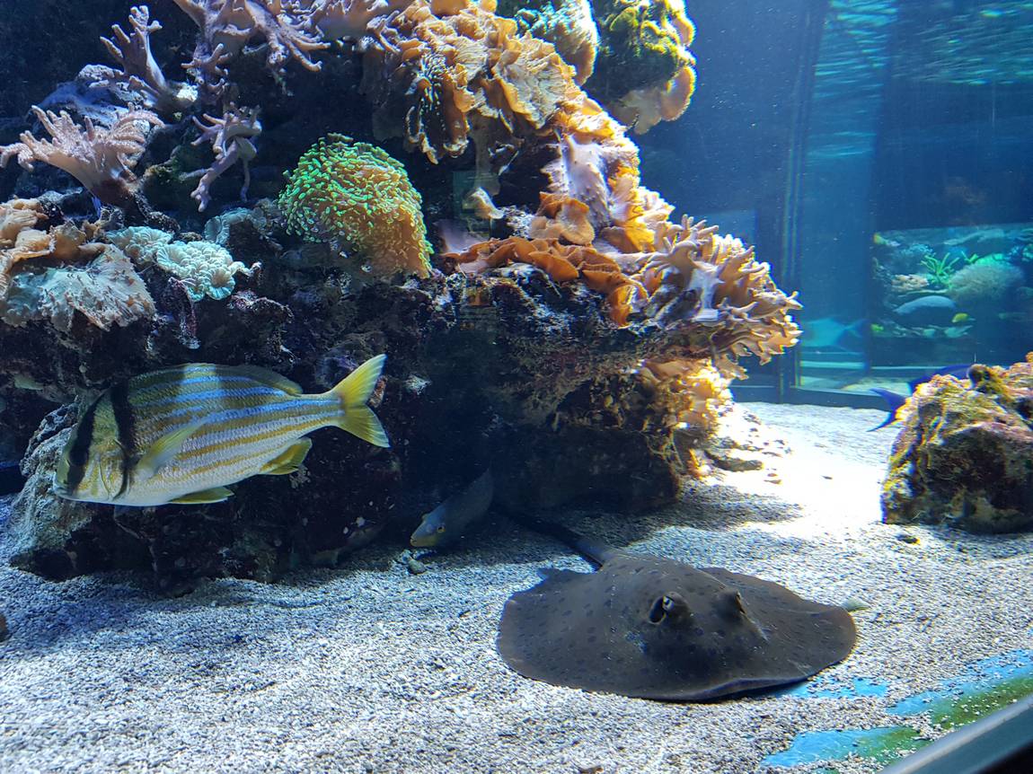 house of nature photo 4