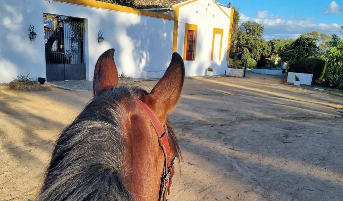 les visites du campo bravo photo 5