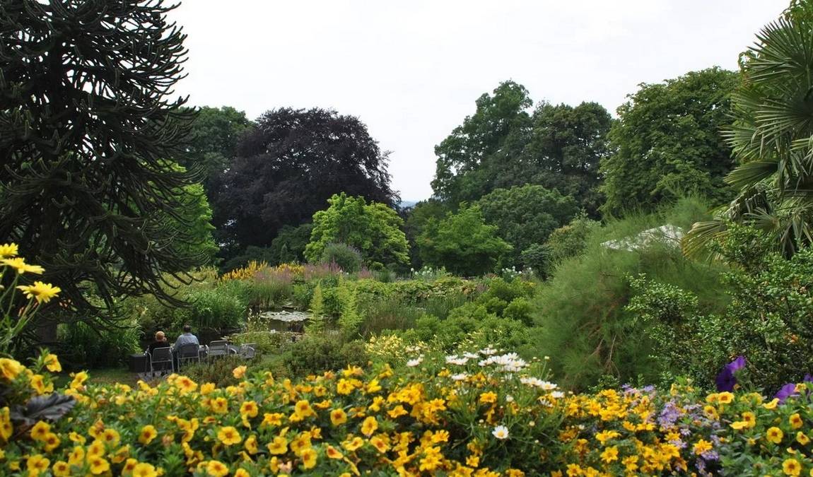 botanical garden photo 1