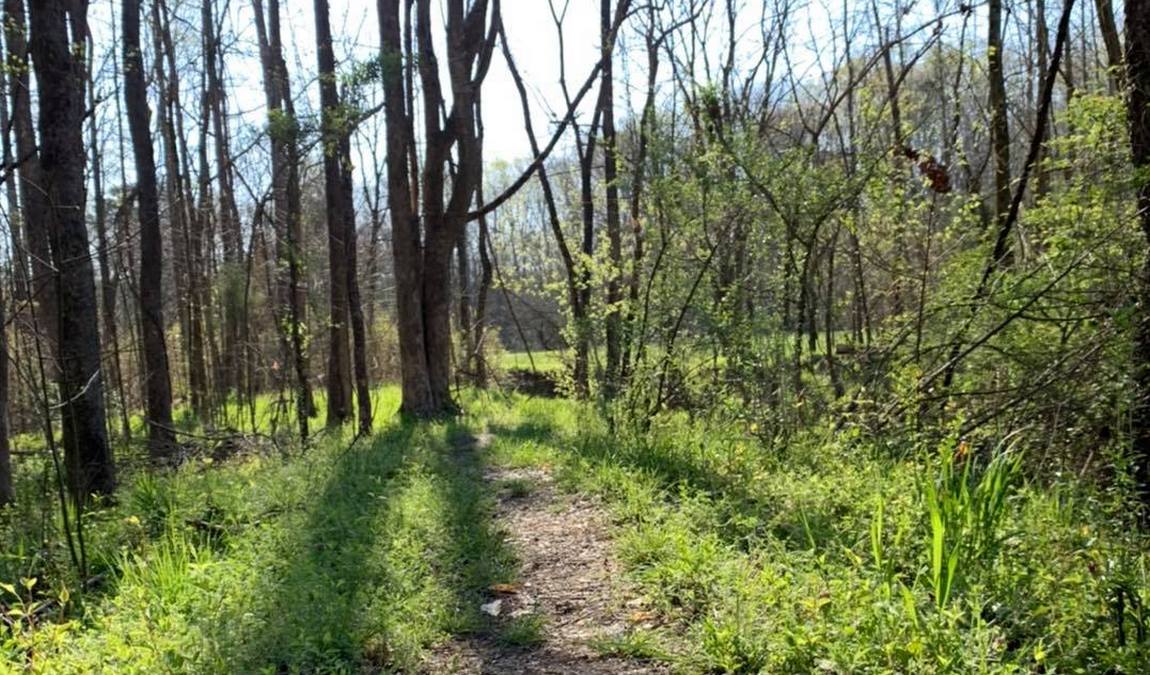 bradford park photo 3