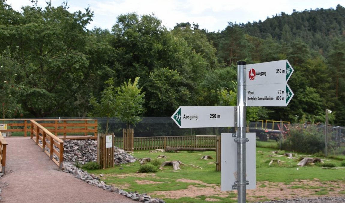 wildlife park in silz photo 2