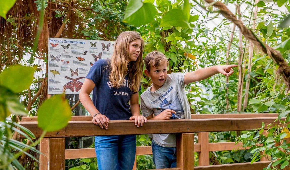 butterfly house in elbauenpark photo 1