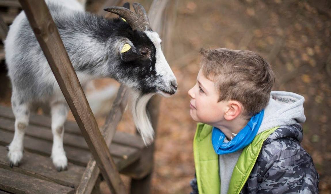 child and youth farm ramersdorf photo 3