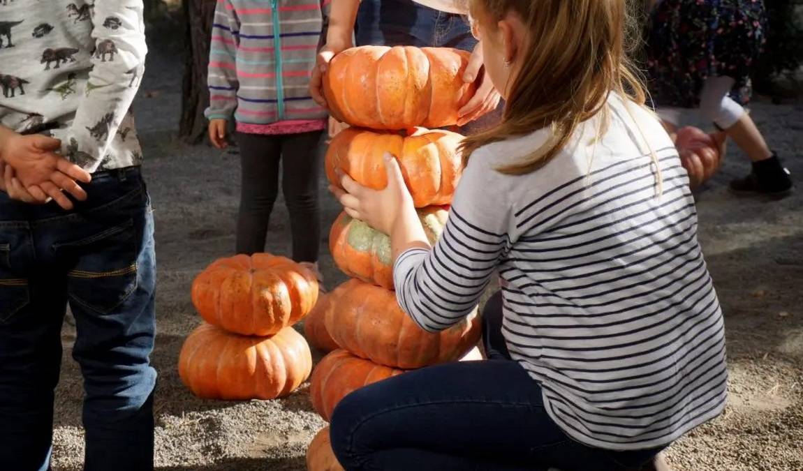 nature and environment house photo 5