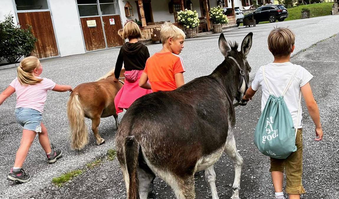 unterschwarzachhof mini farm photo 5