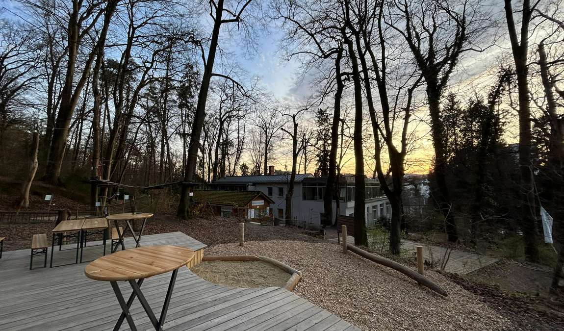 kletterwald graz photo 5