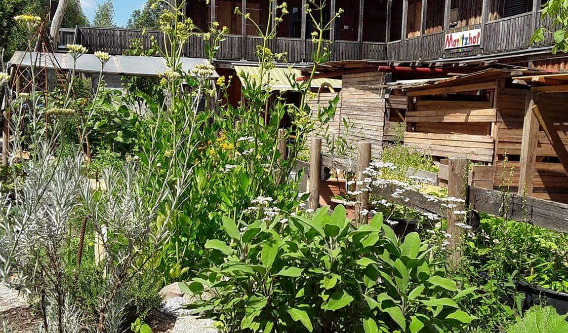 moritzhof petting farm photo 5