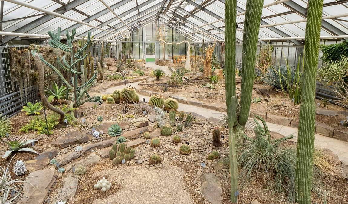 bonn botanical gardens photo 4