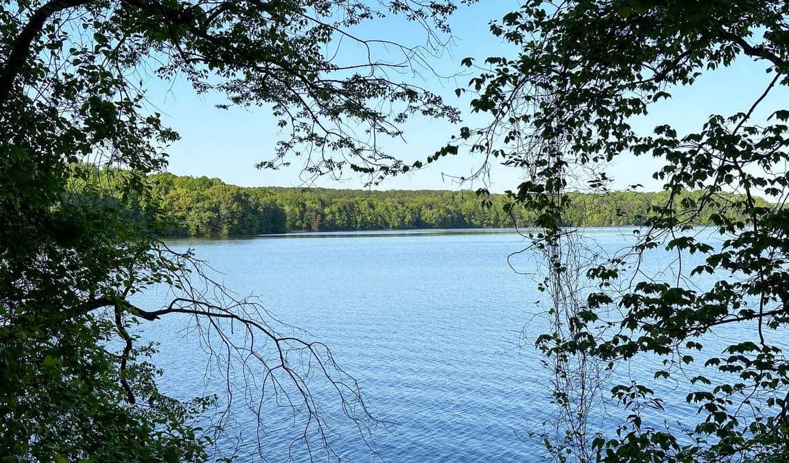 lake brandt marina photo 5