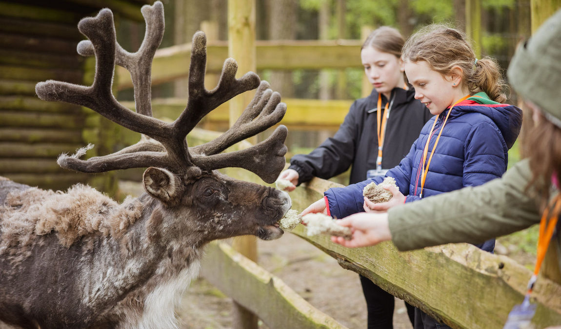 wildpark luneburger heide photo 5