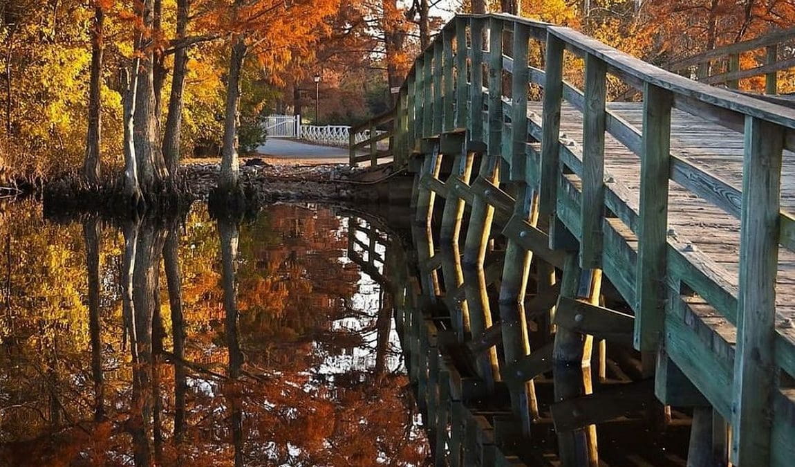 the african american experience of northeast north carolina photo 4