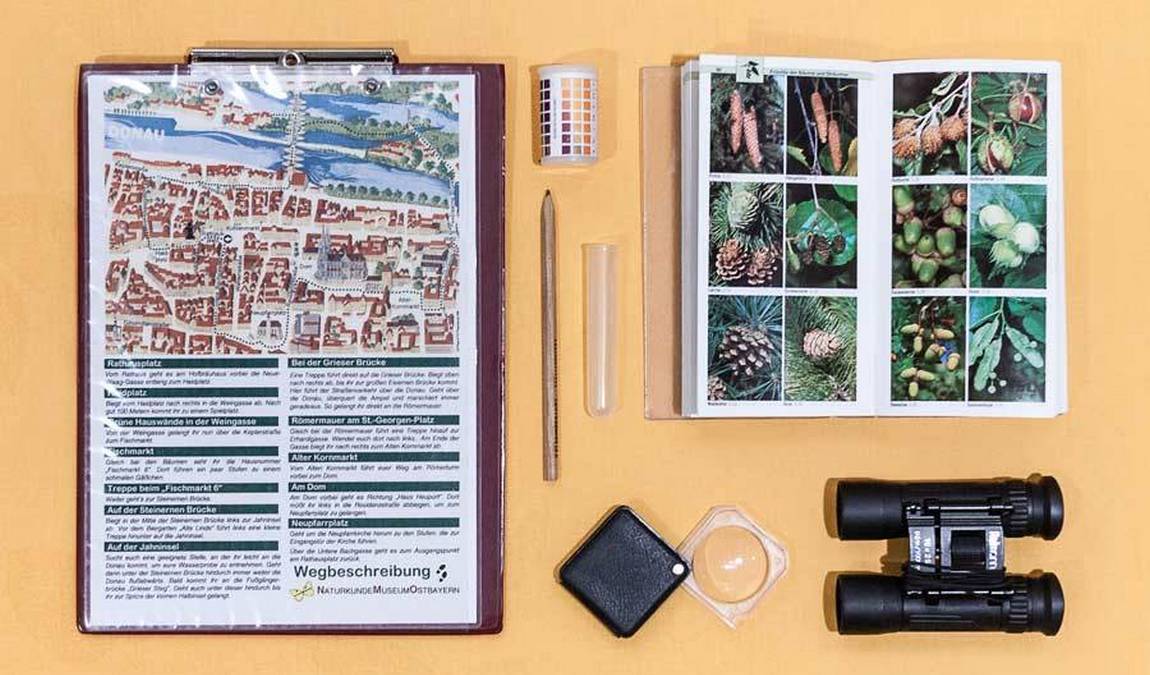 natural history museum of eastern bavaria photo 6