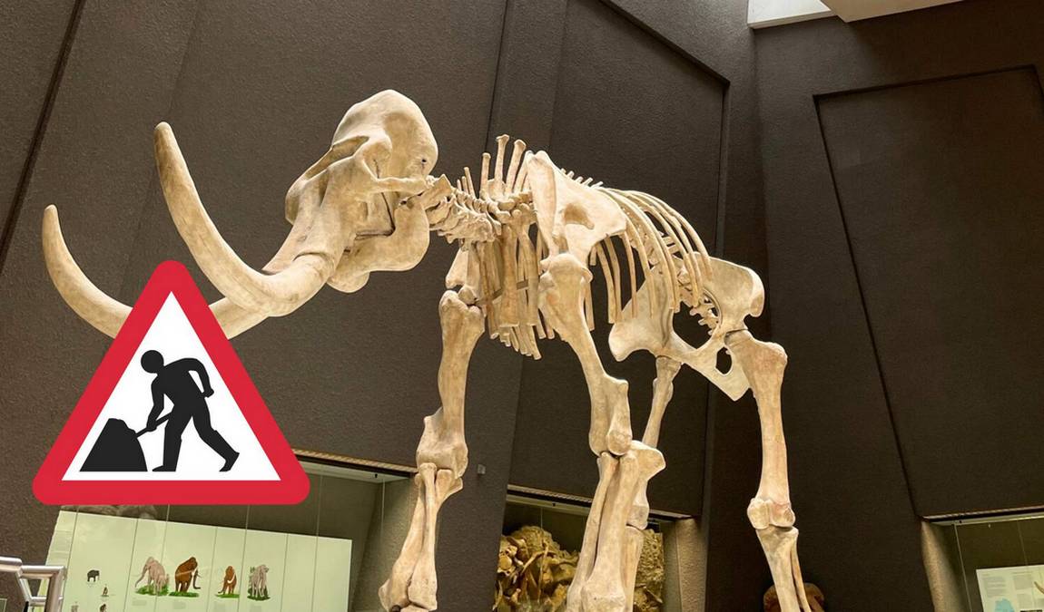 stuttgart state museum of natural history photo 3