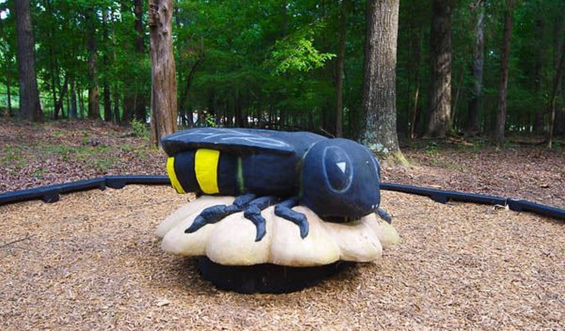 holt school road park photo 4