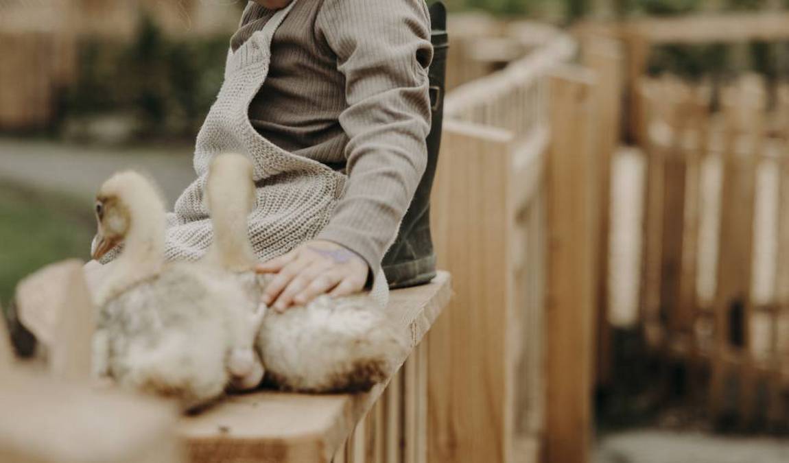 moar gut farm photo 5