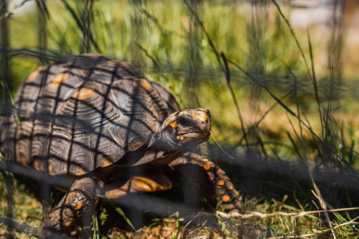 private zoo sedlec photo 2