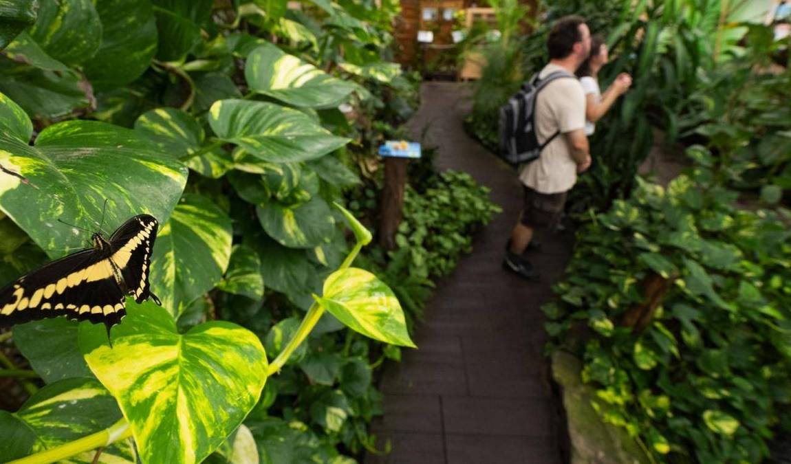 papilonia karlovy vary photo 4