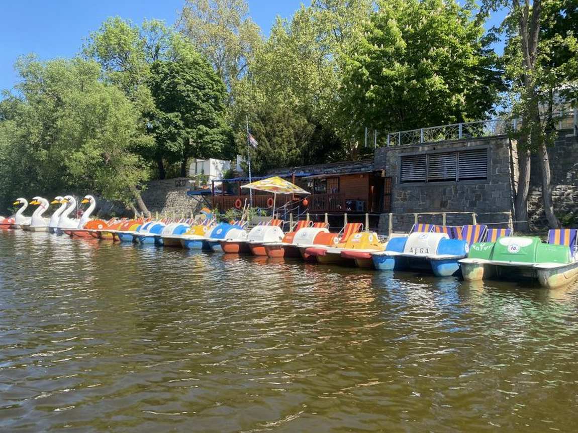 paddle boats photo 4