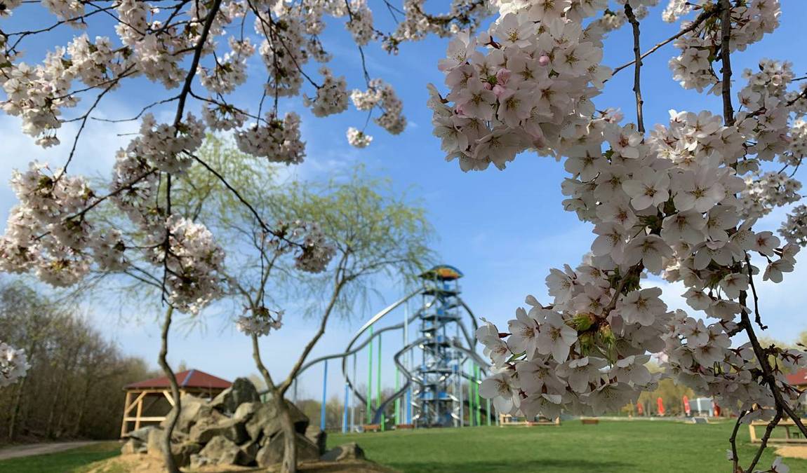 sonnenlandpark photo 2