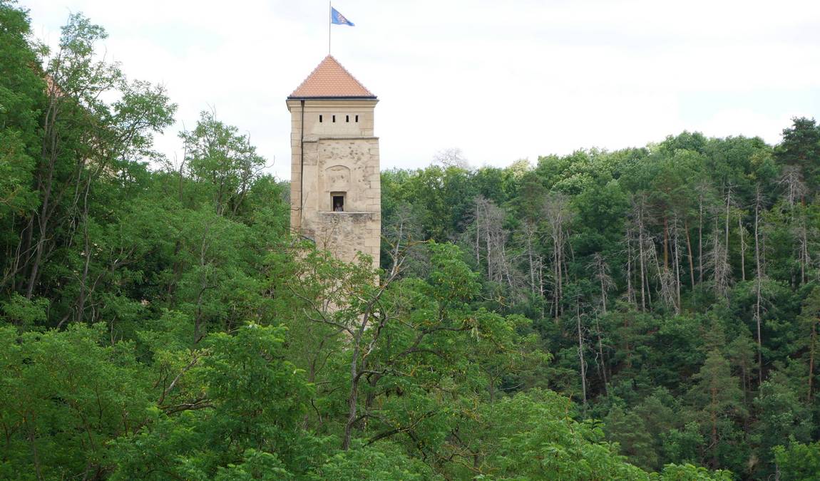 veveri castle photo 7