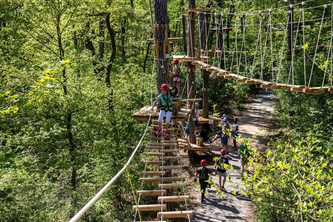 forest rope park kahlenberg photo 2