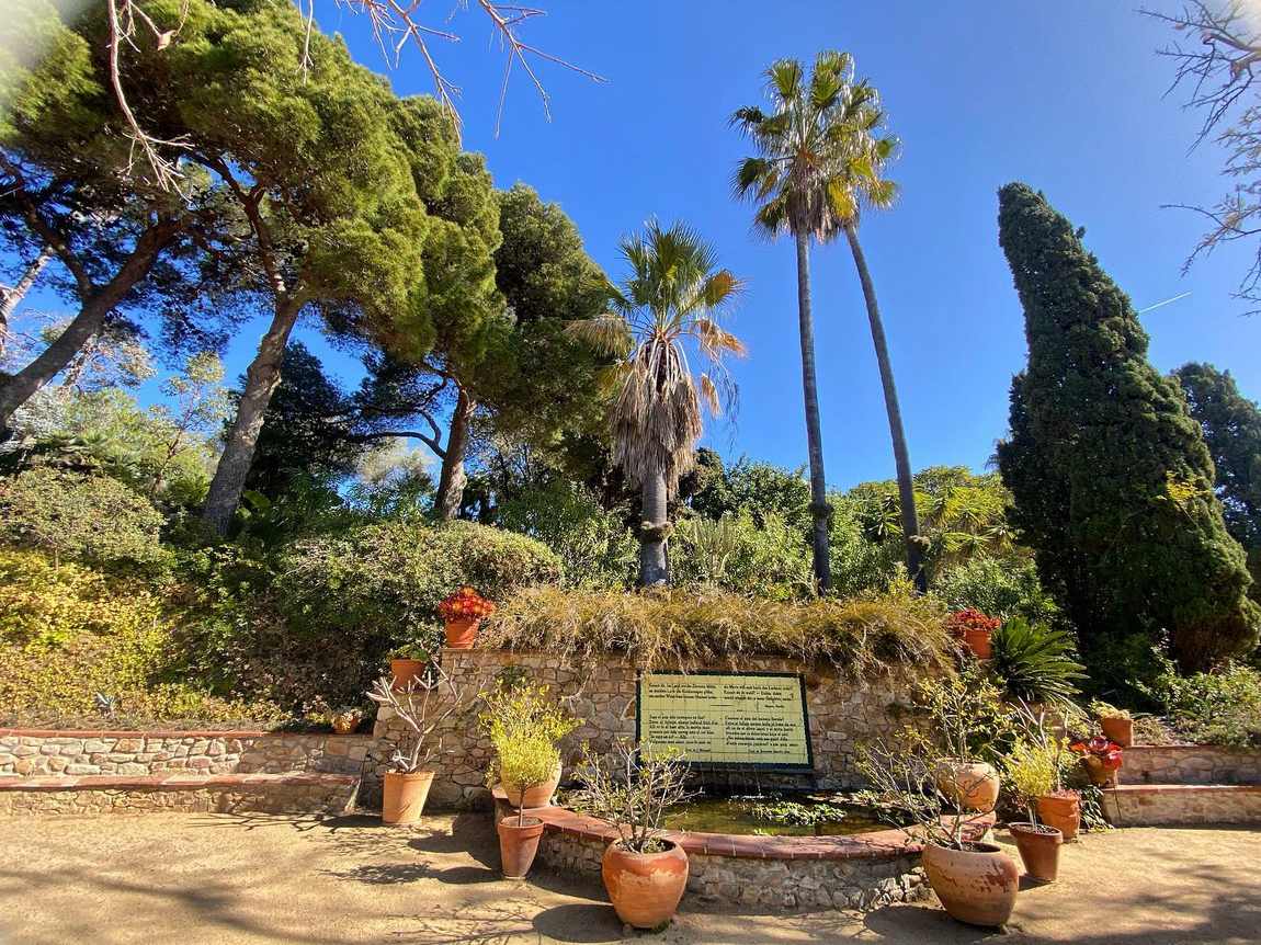 marimurtra botanical garden photo 2