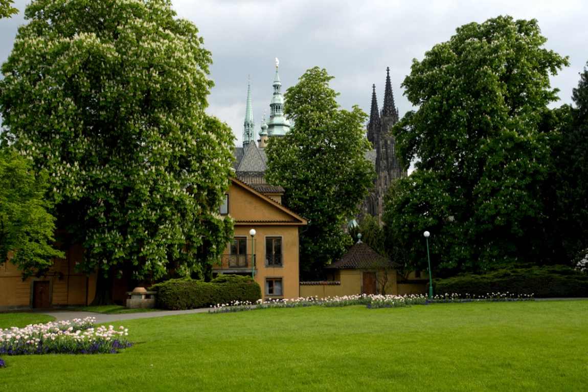 prague castle photo 8