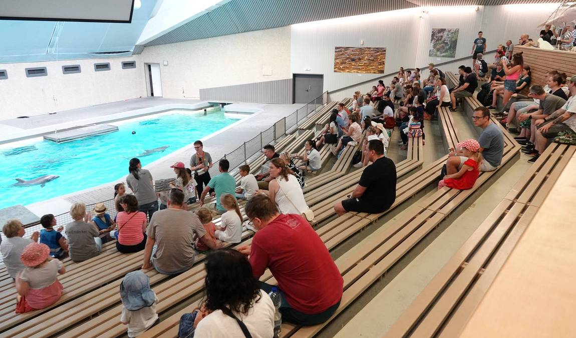 nuremberg zoo photo 4