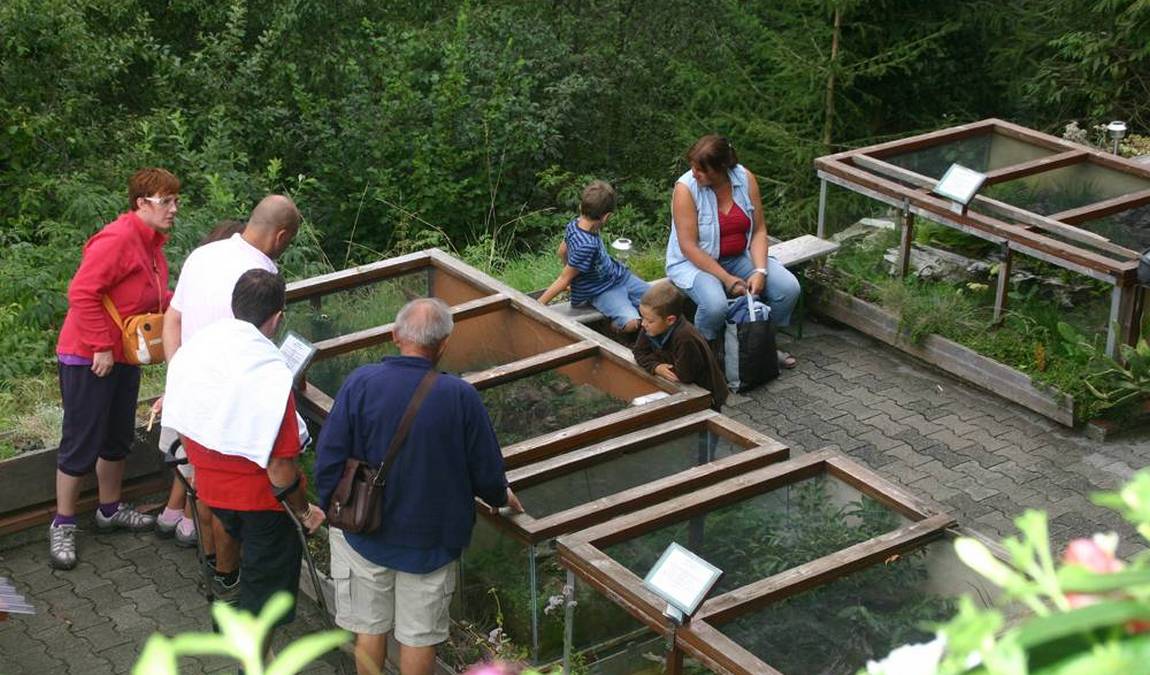 reptilienzoo nockalm photo 3