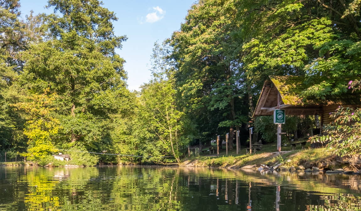 wildpark hochriess photo 5