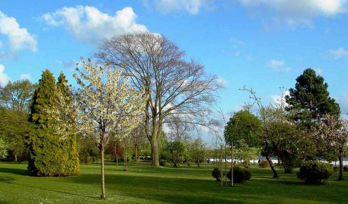 city garden vegesack photo 7