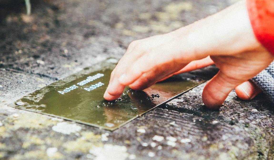 rheinaue leisure park photo 6