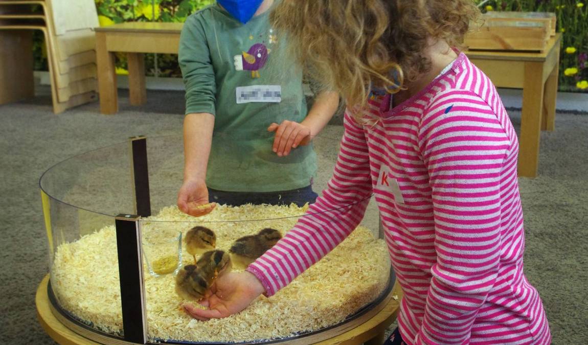 children's museum photo 6