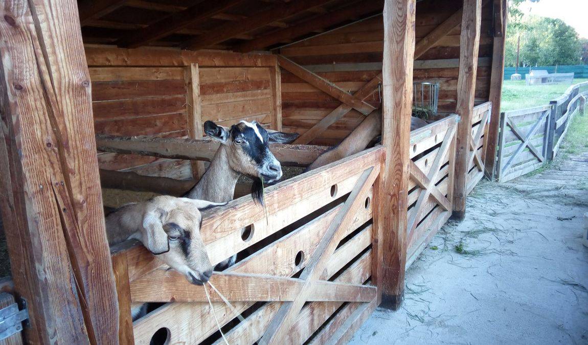 zoopark milicov photo 1