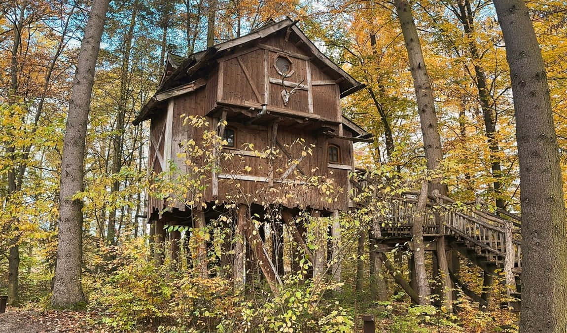 wildlife park tripsdrill photo 4