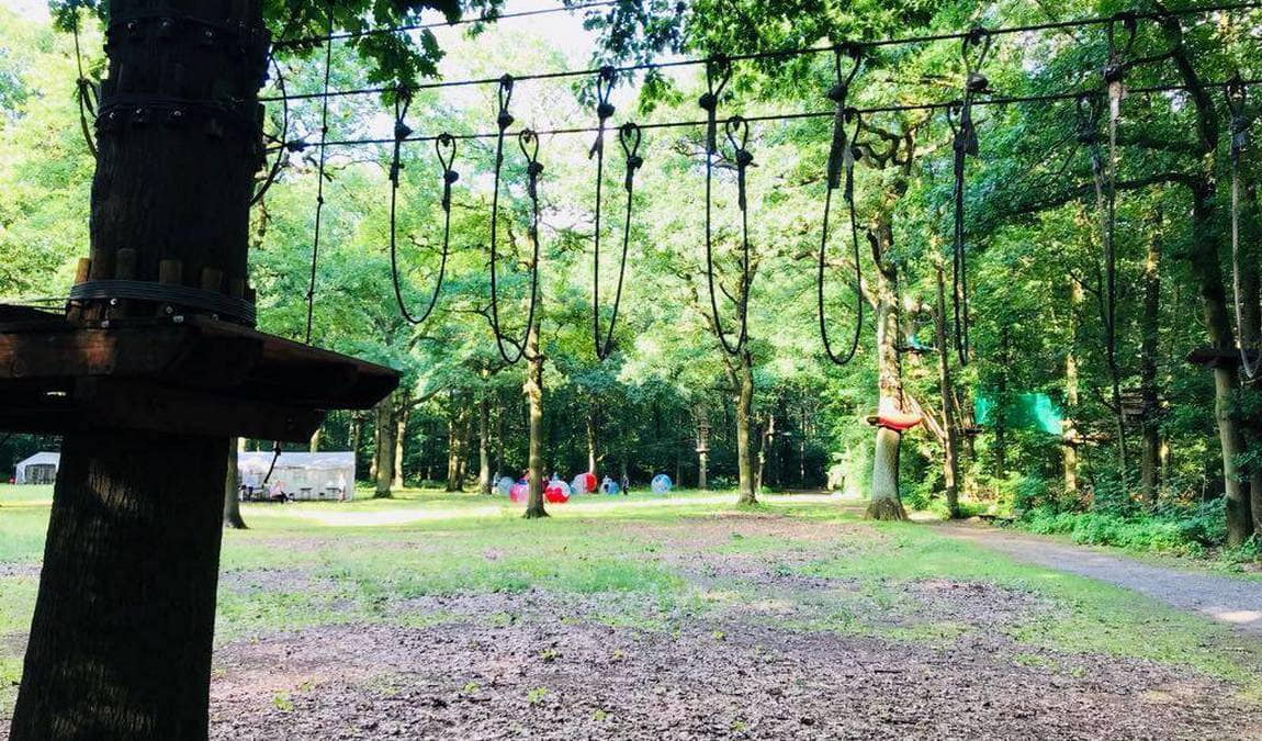 tree2tree climbing park photo 3