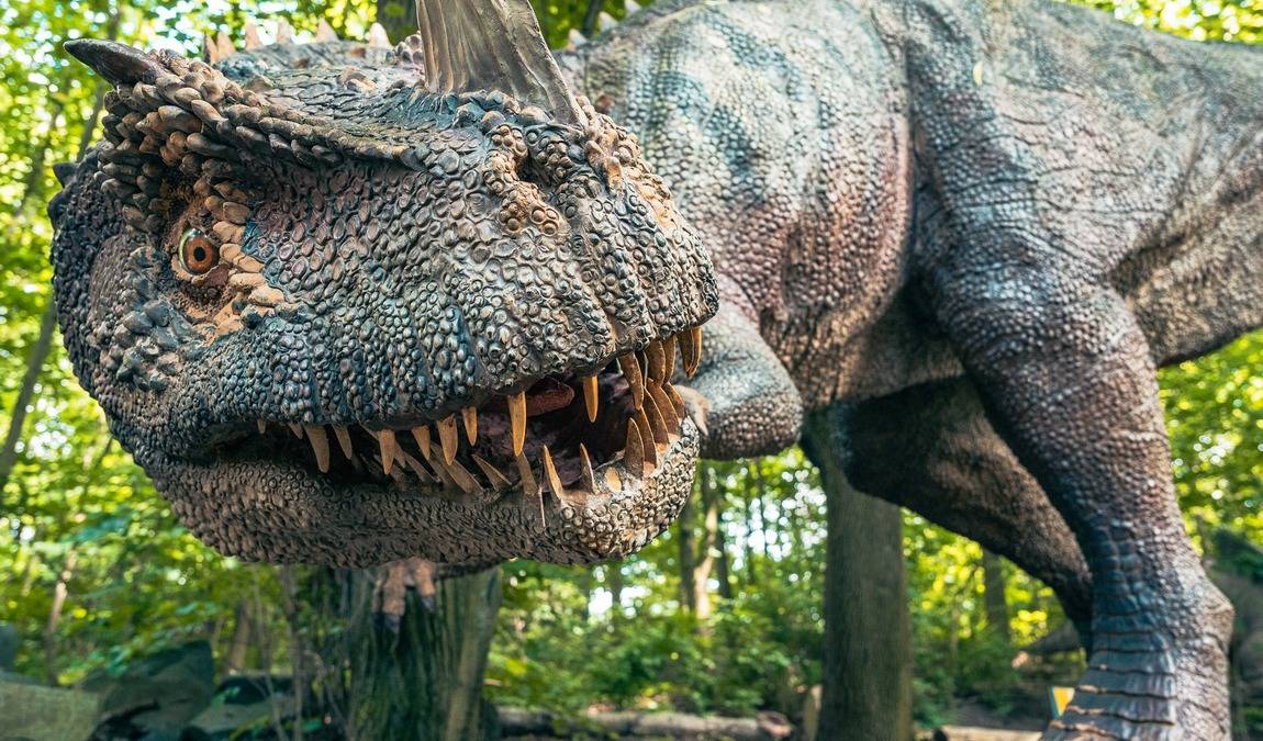 dinopark ostrava photo 5