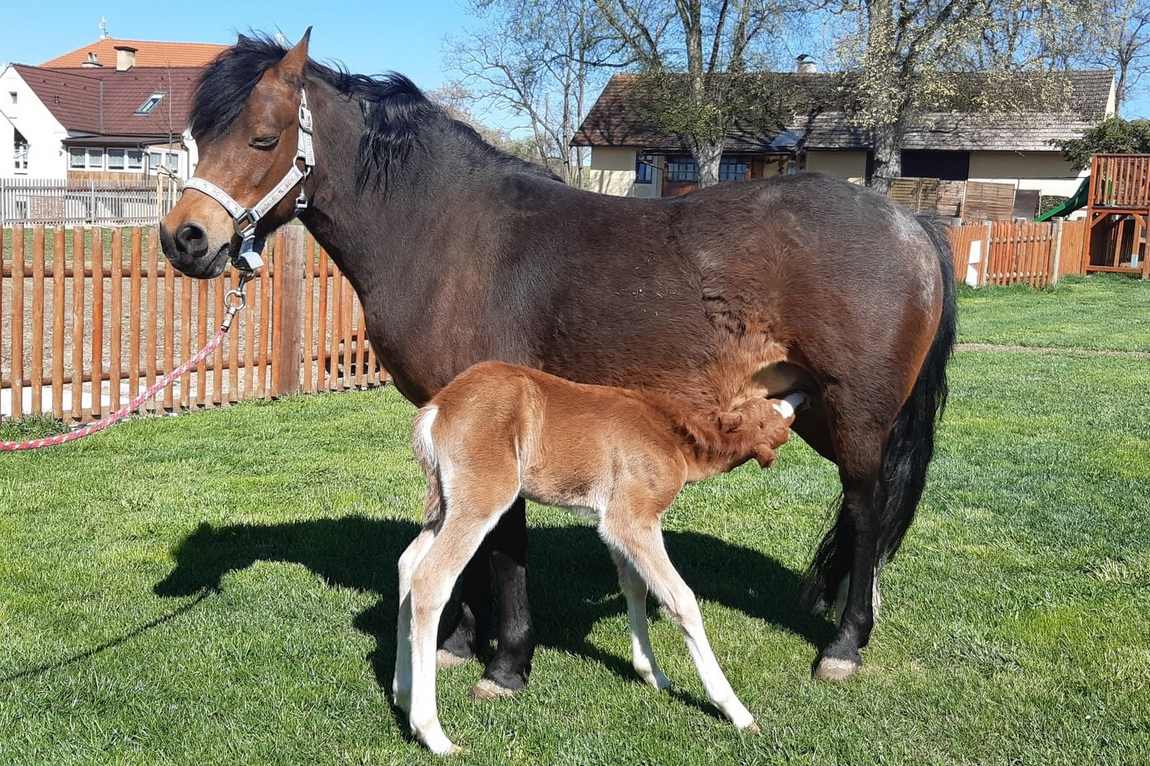 farma moulisovych photo 2