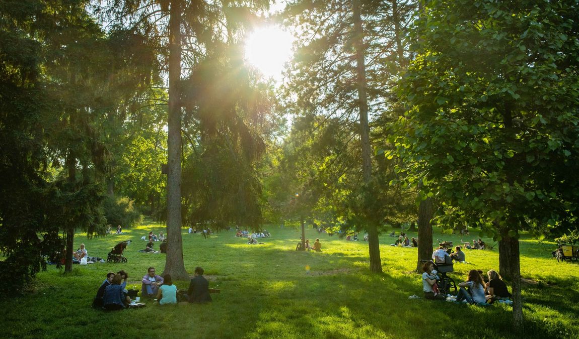 park luzanky photo 2