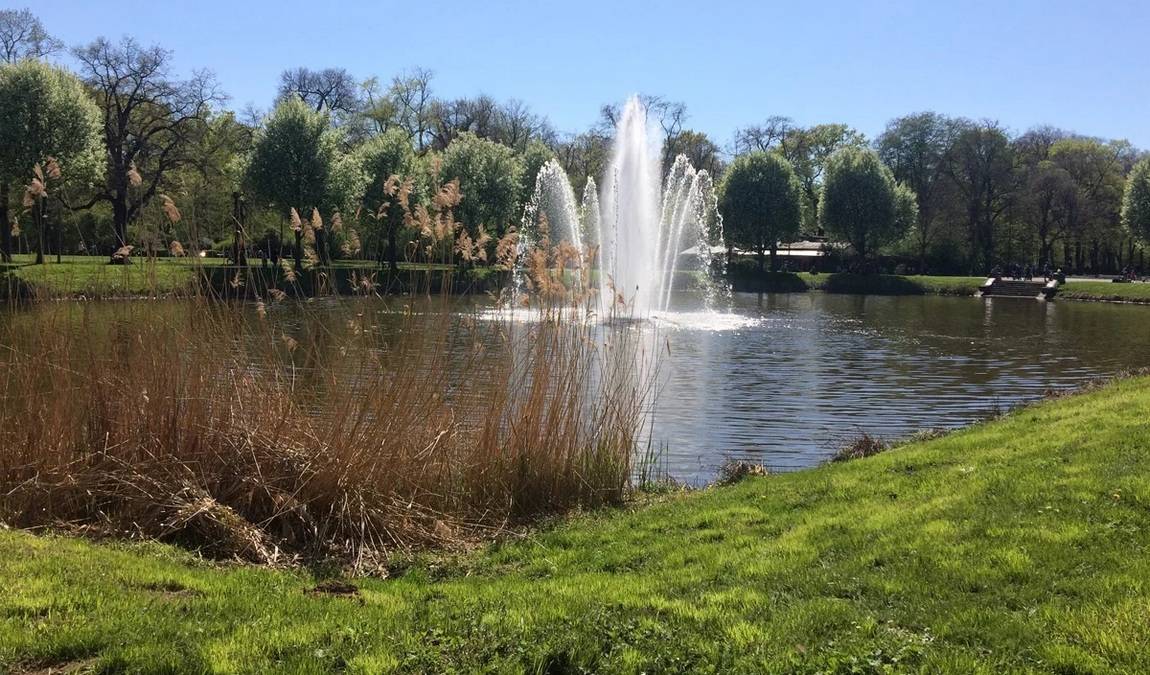 clara-zetkin park photo 11