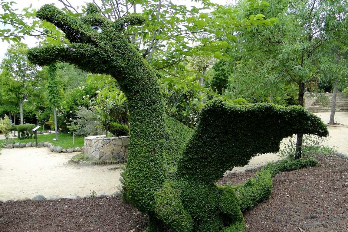 the enchanted forest photo 2