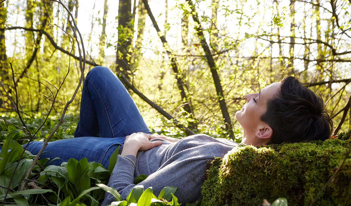 attersee-traunsee nature park photo 7