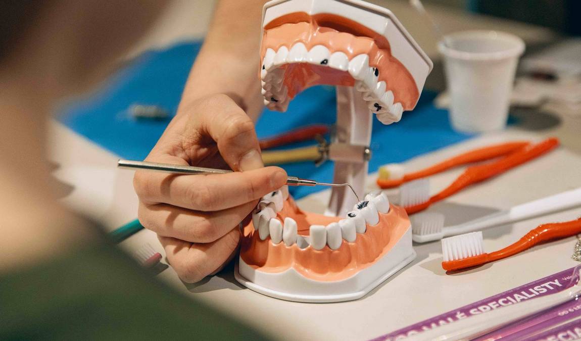 fort science photo 8