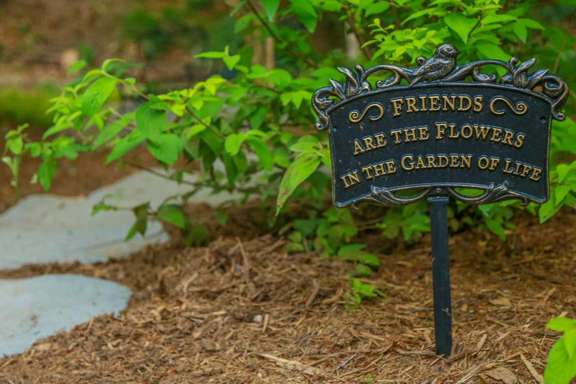 serenity garden photo 1